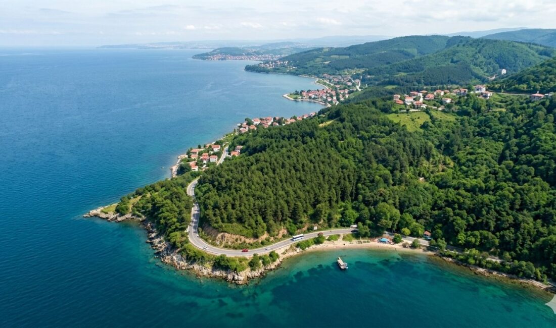 Yalova Orman İşletme Müdürlüğü, orman