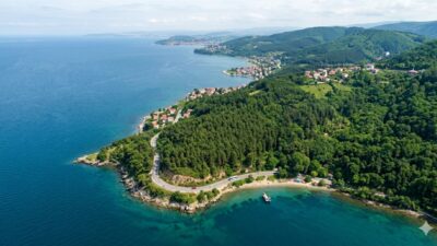 Yalova Orman İşletme Müdürlüğü, orman