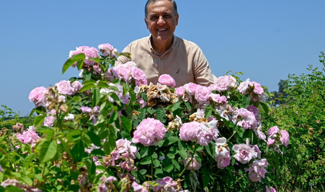 Yalova Valisi Dr. Ahmet