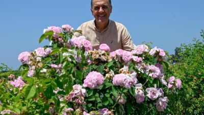 Yalova Valisi Dr. Ahmet Hamdi