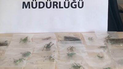 ADIYAMAN / TEKHA Tarım ve