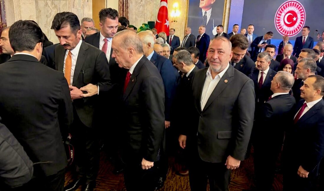 Türkiye Büyük Millet Meclisi’nde (TBMM)