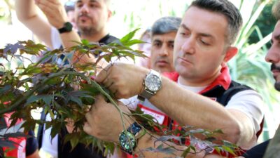 YALOVA / TEKHA Yalova’da tarımsal