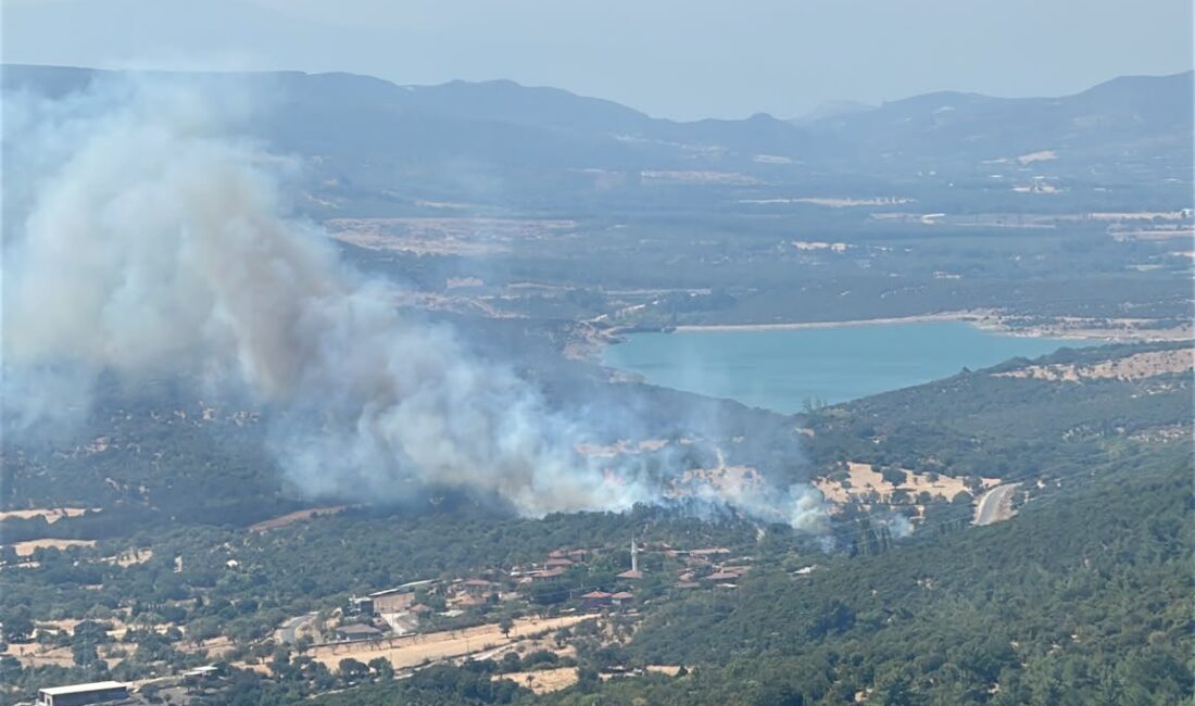 Çanakkale’de Kırsal Alandaki Yangın Ormana Sıçramadan Söndürüldü Çanakkale’nin Ayvacık ilçesine bağlı