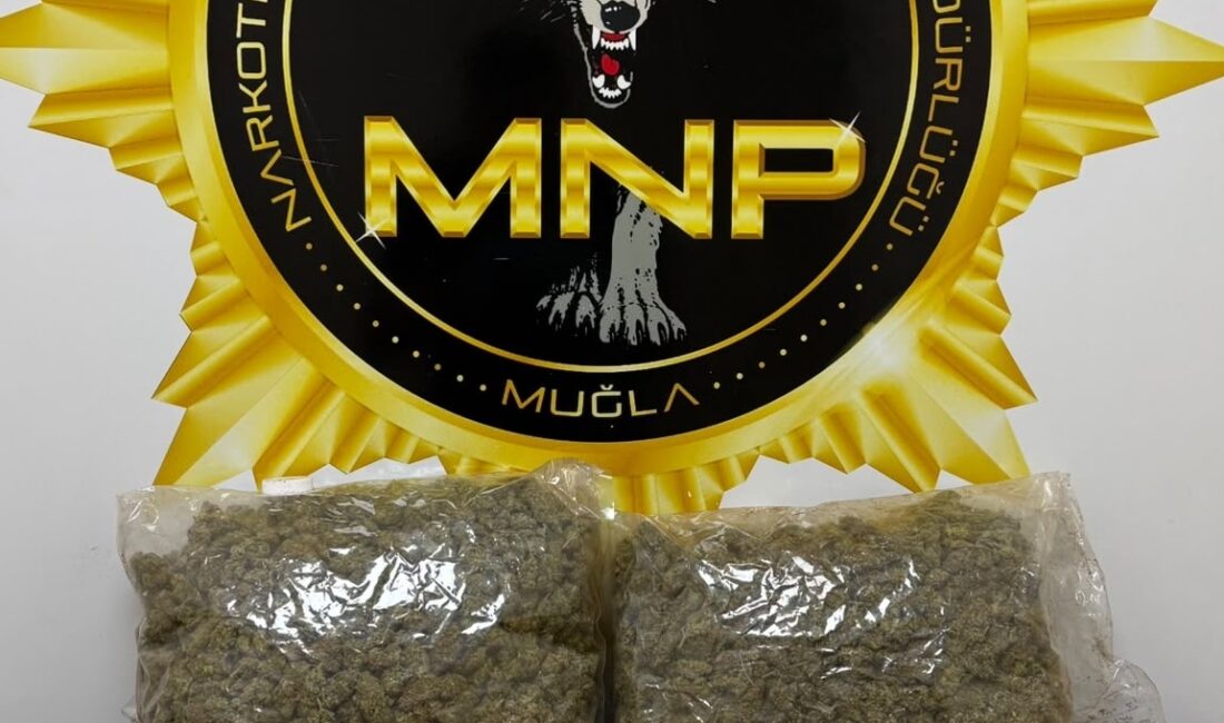 Muğla Cumhuriyet Başsavcılığı koordinesinde