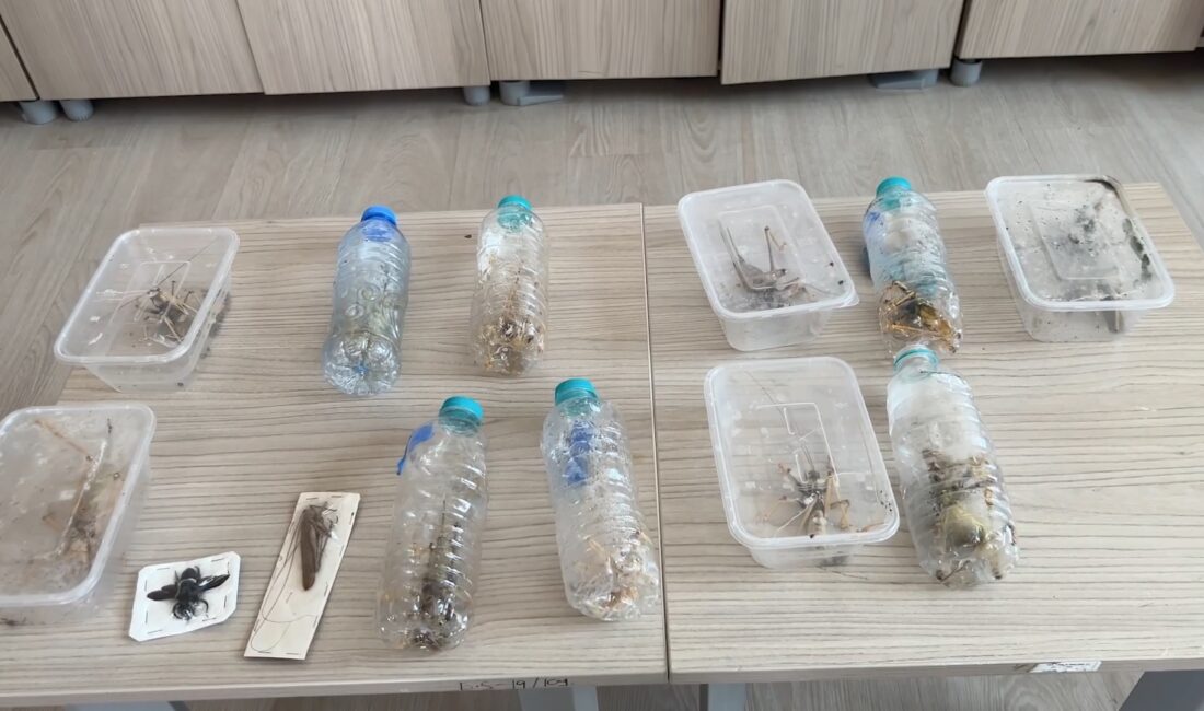 Tarım ve Orman Bakanı