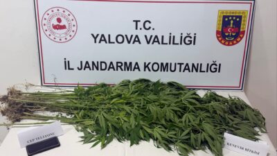 Yalova İl Jandarma Komutanlığı ekipleri,