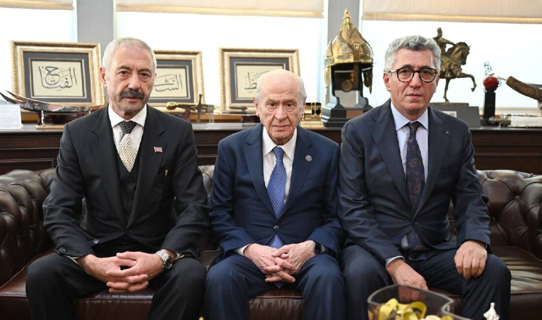 Milliyetçi Hareket Partisi (MHP)
