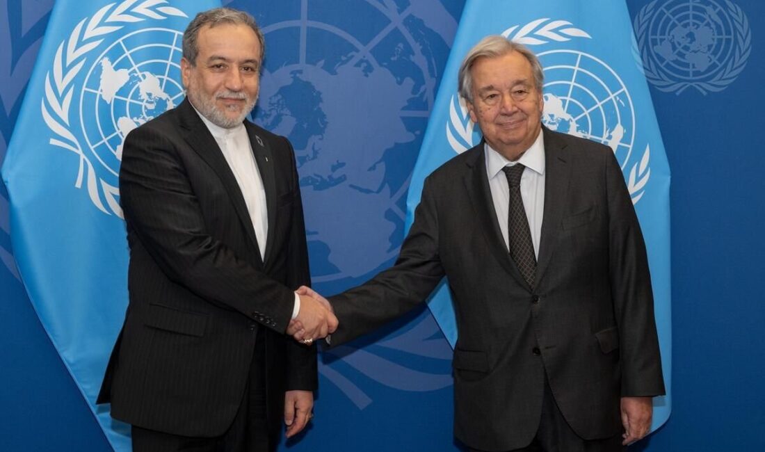 Birleşmiş Milletler (BM) Genel