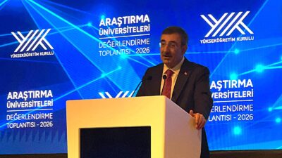 Cumhurbaşkanı Yardımcısı Cevdet Yılmaz, Orta