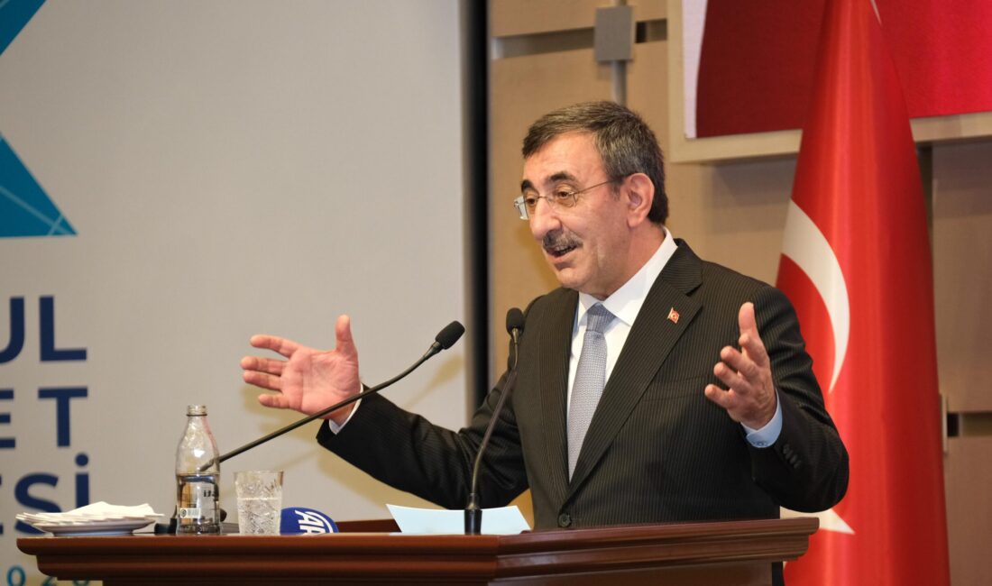 Kamu, iş dünyası, akademi