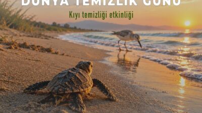 Antalya Mavi Akdeniz İnisiyatifi, Dünya