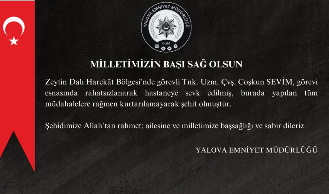 YALOVA / TEKHA Zeytin