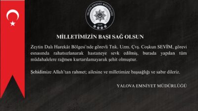 YALOVA / TEKHA Zeytin Dalı