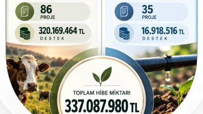 Geniş ekim sahaları ve güçlü
