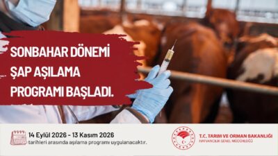 Yalova İl Tarım ve Orman