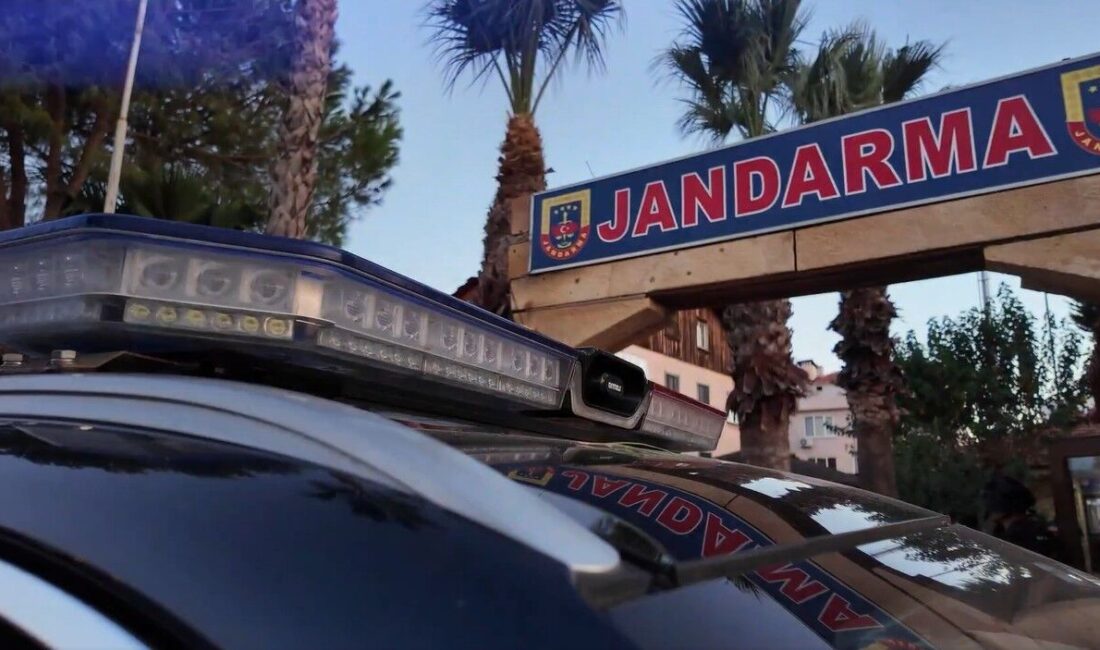   Türkiye’nin suç ve
