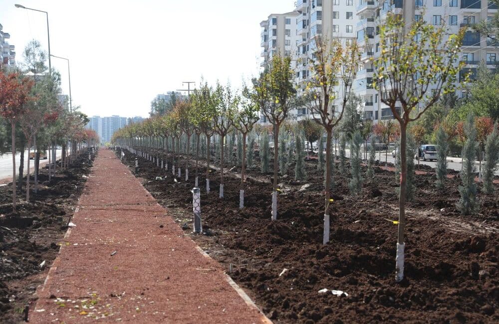 Diyarbakır Büyükşehir Belediyesi, kent