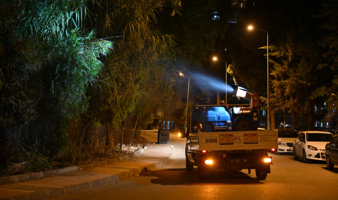 Mersin Büyükşehir Belediyesi, kent