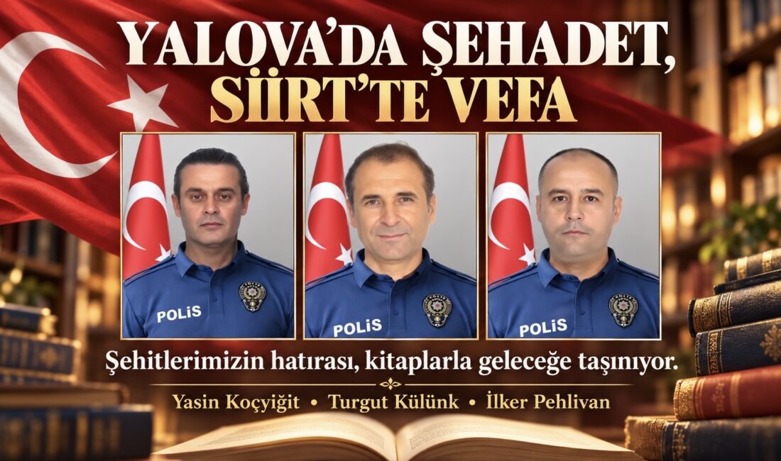 Tek Haber Ajansı Yönetim