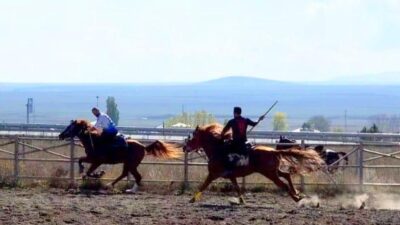 Kars Valisi Ziya Polat, Selim