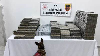 Siirt İl Jandarma Komutanlığı ekiplerinin