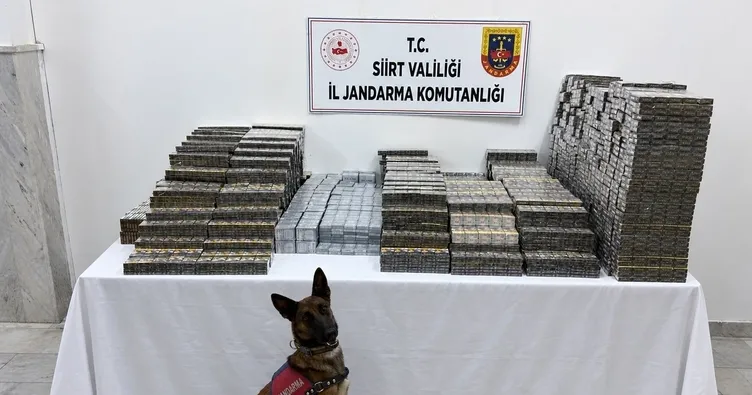 Siirt İl Jandarma Komutanlığı