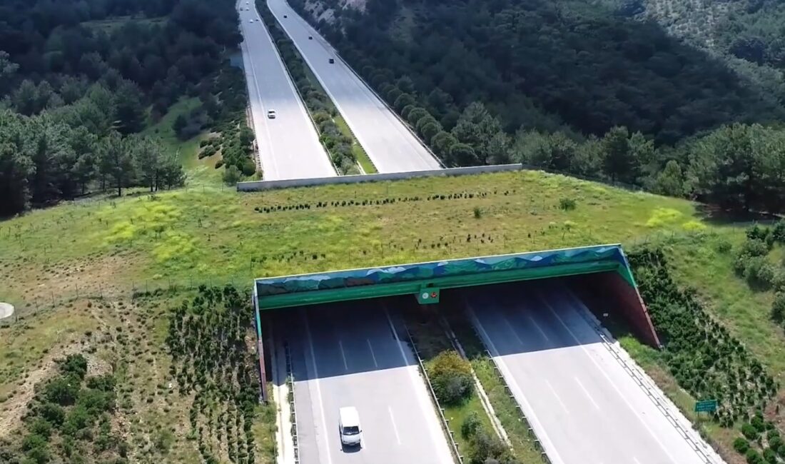Ulaştırma ve Altyapı Bakanı