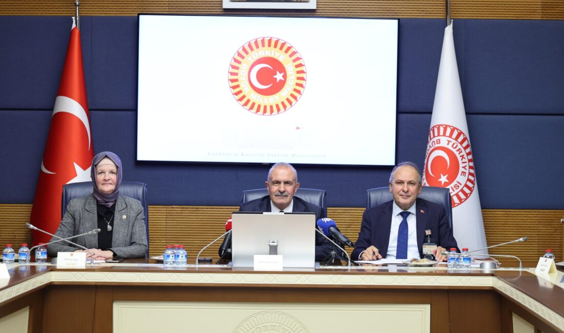 TBMM Avrupa Birliği Uyum