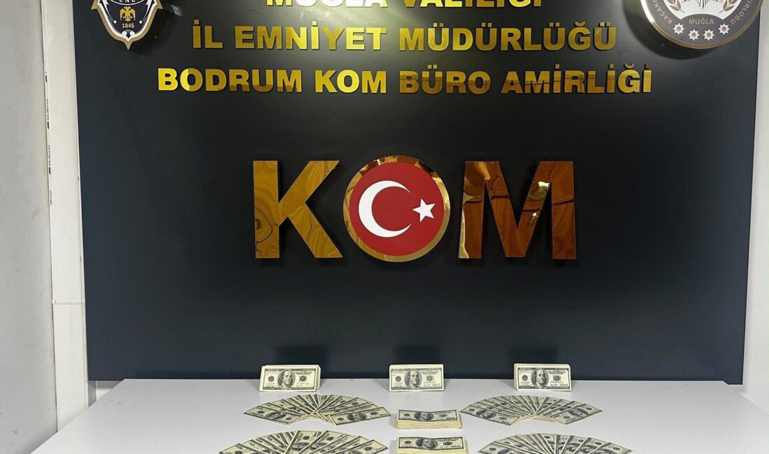 Muğla’nın Bodrum ilçesinde piyasaya
