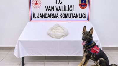 Van’ın Gevaş ilçesinde jandarma ekiplerinin