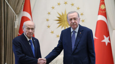 Cumhurbaşkanı Recep Tayyip Erdoğan, MHP