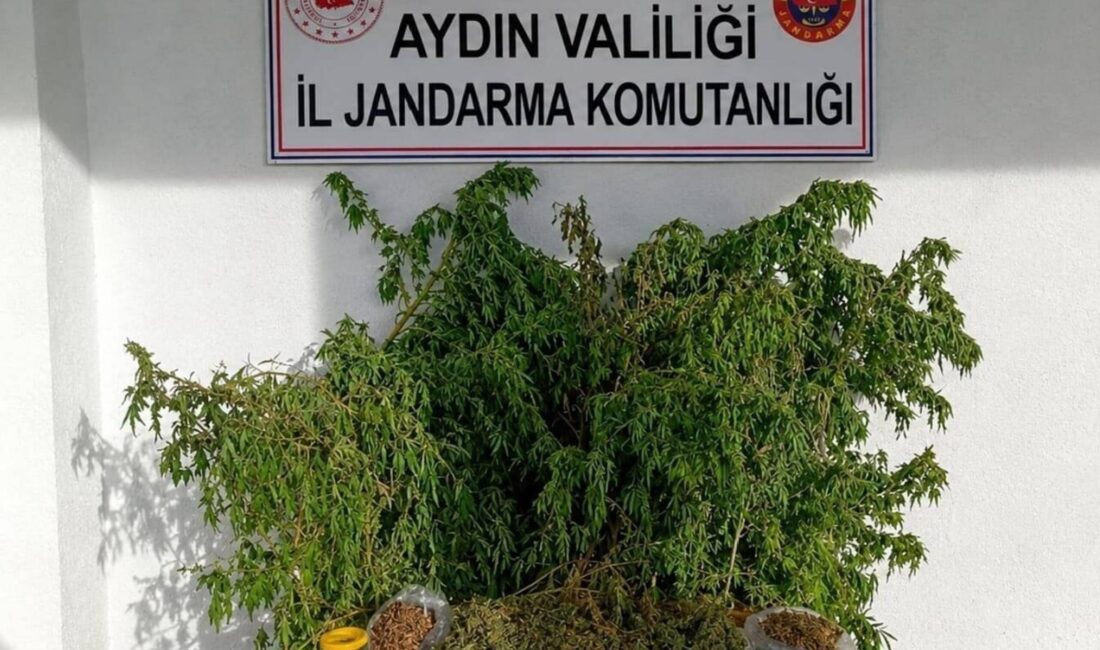 Aydın’ın İncirliova ilçesinde jandarma