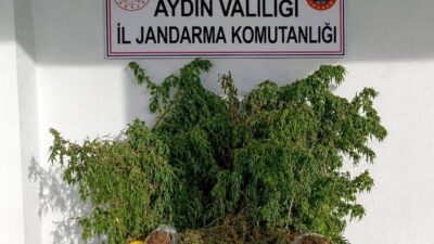 Aydın’ın İncirliova ilçesinde jandarma ekiplerinin