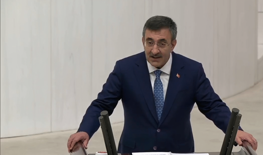Cumhurbaşkanı Yardımcısı Cevdet Yılmaz,