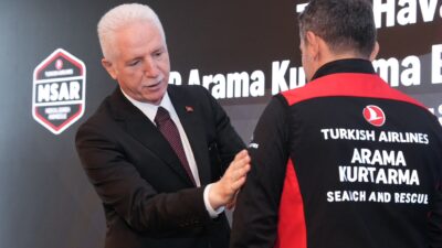 Türk Hava Yolları, yurt içinde