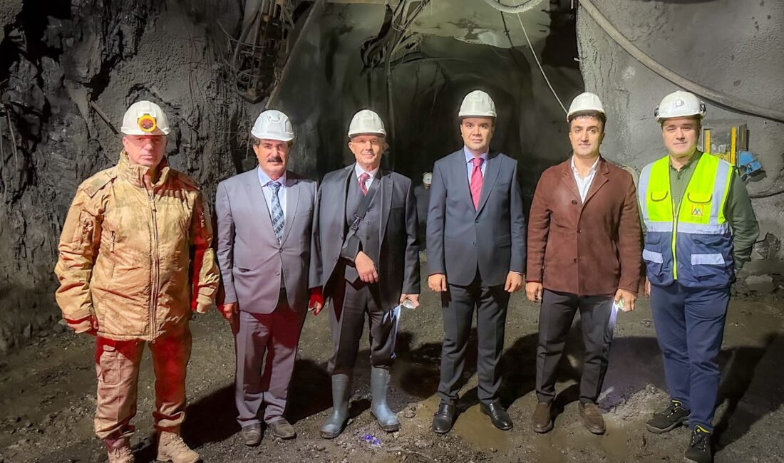 Hakkari Valisi İbrahim Taşyapan,