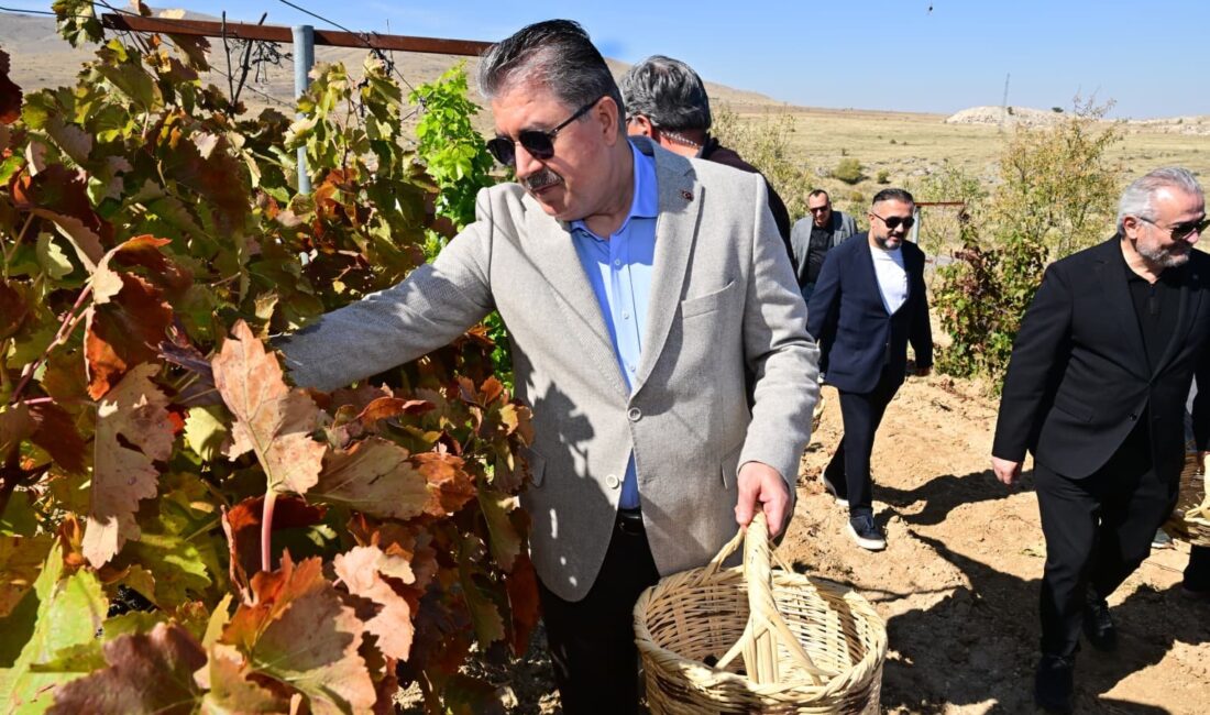 Eskişehir Günyüzü’nde Protokolün Katılımıyla Bağ Bozumu Yapıldı Eskişehir Valisi Dr. Erdinç