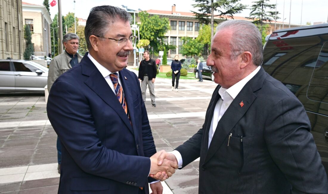 Türkiye Büyük Millet Meclisi