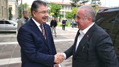 Türkiye Büyük Millet Meclisi 29.