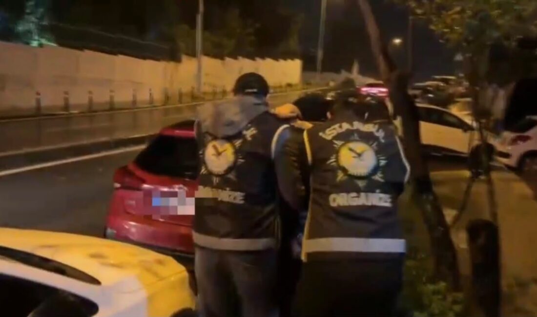 İstanbul Cumhuriyet Başsavcılığı koordinesinde