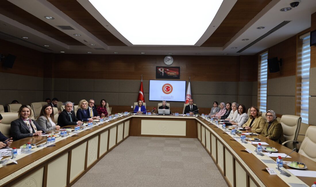 Türkiye Büyük Millet Meclisi