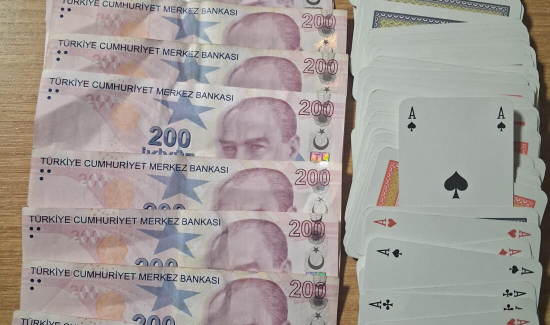 Samsun’un İlkadım ve Canik