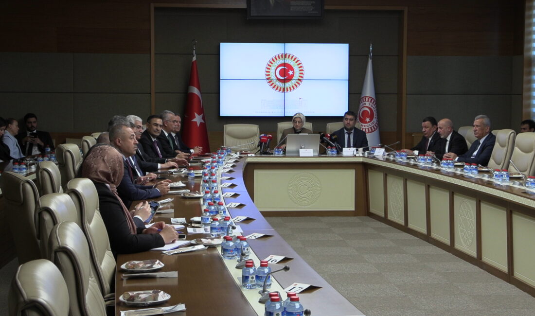 TBMM Şanlıurfa ve Kahramanmaraş