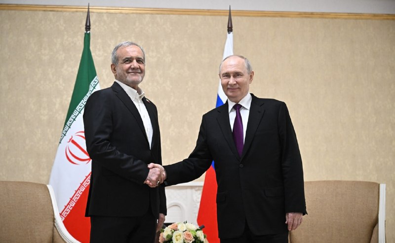 Rusya Devlet Başkanı Vladimir
