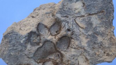 Kütahya’da yürütülen arkeolojik kazılarda, Tunç
