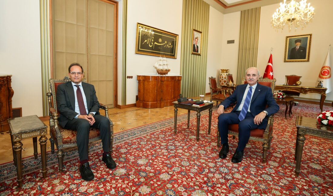 Türkiye Büyük Millet Meclisi