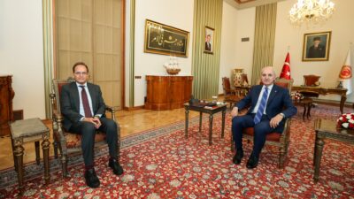 Türkiye Büyük Millet Meclisi (TBMM)