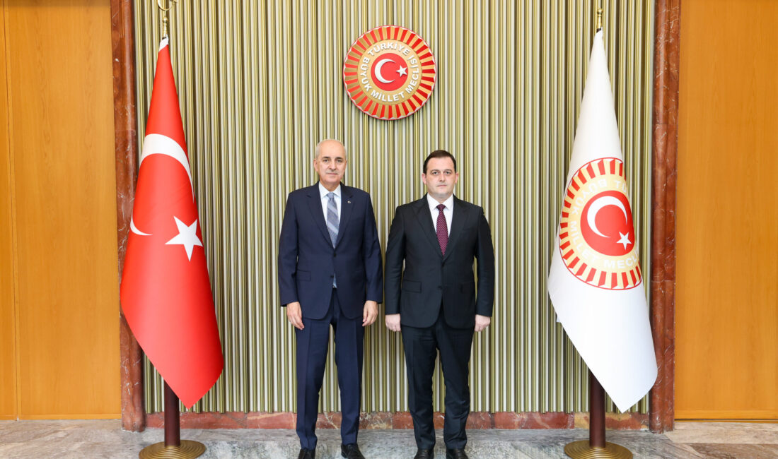 TBMM Başkanı Numan Kurtulmuş,