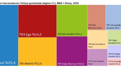 Türkiye İstatistik Kurumu (TÜİK), 2025